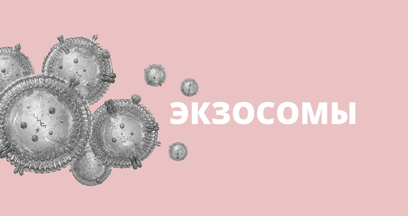 Экзосомы