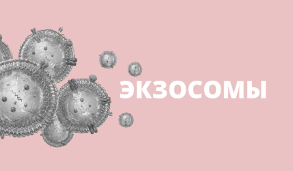 Экзосомы